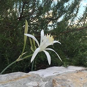 Ca' di Bianca